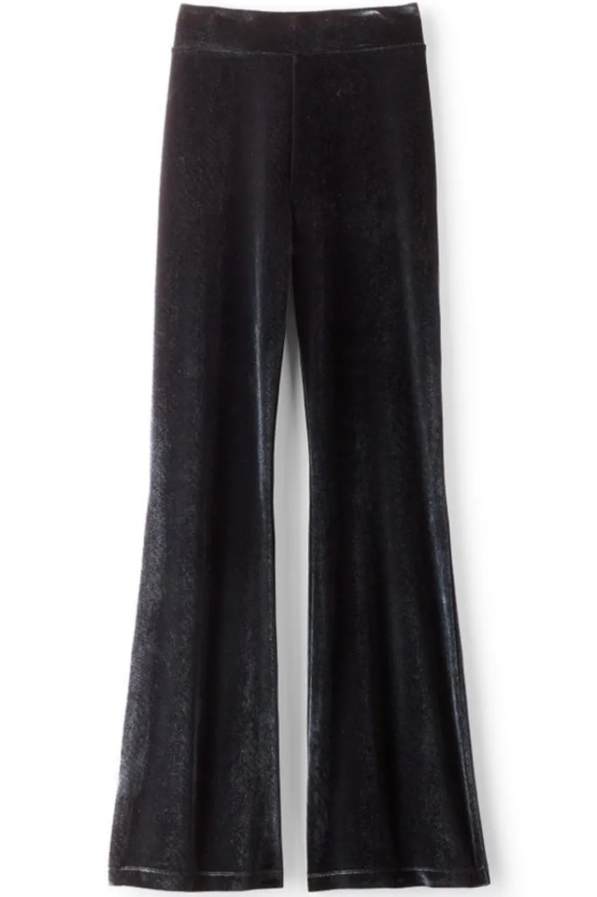 Hot Gianna Velvet Bootcut Pants Pants